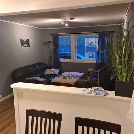 Lake View Apartment, Oldedalen *